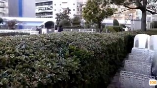 亚洲呦交av资源➕国产av激情视频
