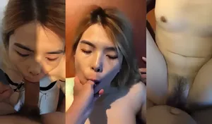 你是我的婊子